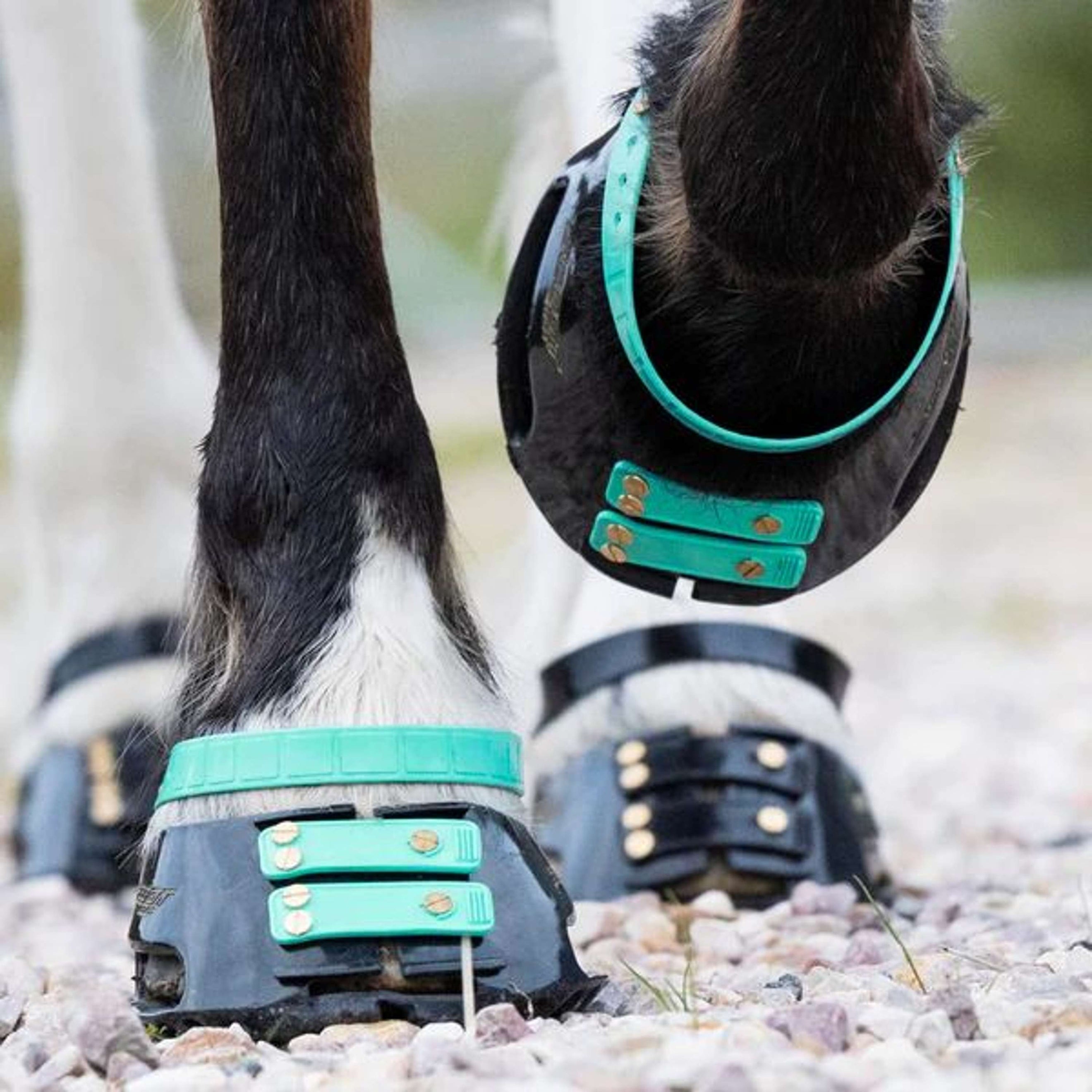 Scoot Boot Pastern Strap Marine Scoot Boot Pastern Strap Marine