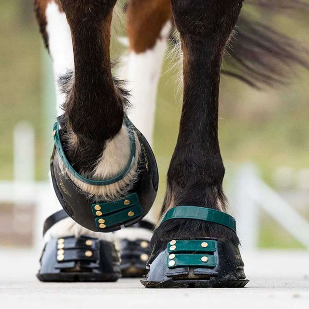 Scoot Boot Pastern Strap Émeraude