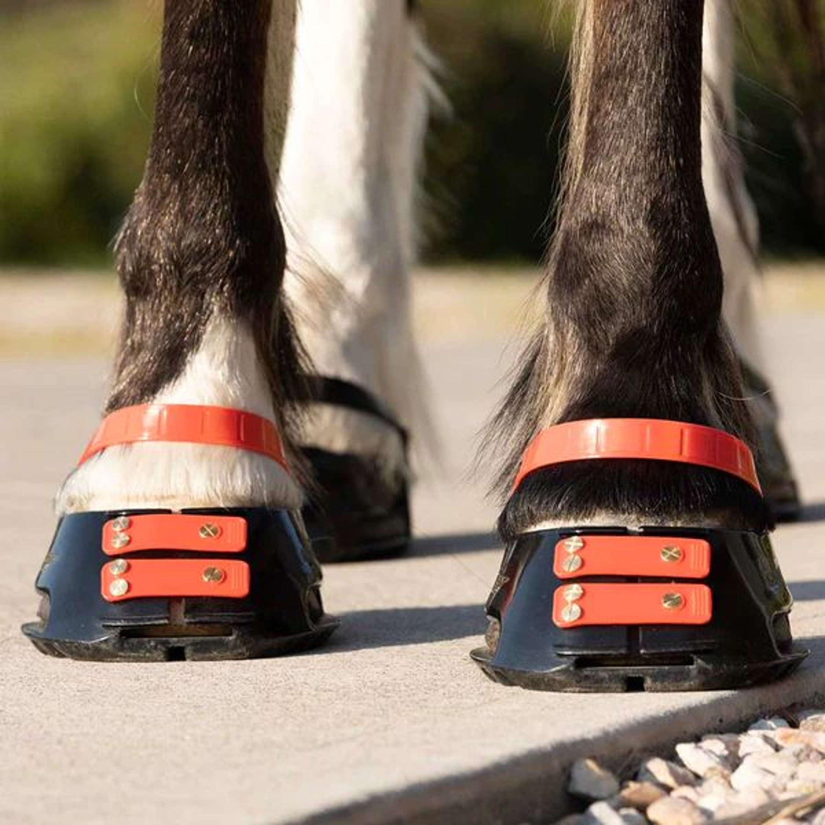 Scoot Boot Pastern Strap Hibiscus Scoot Boot Pastern Strap Hibiscus