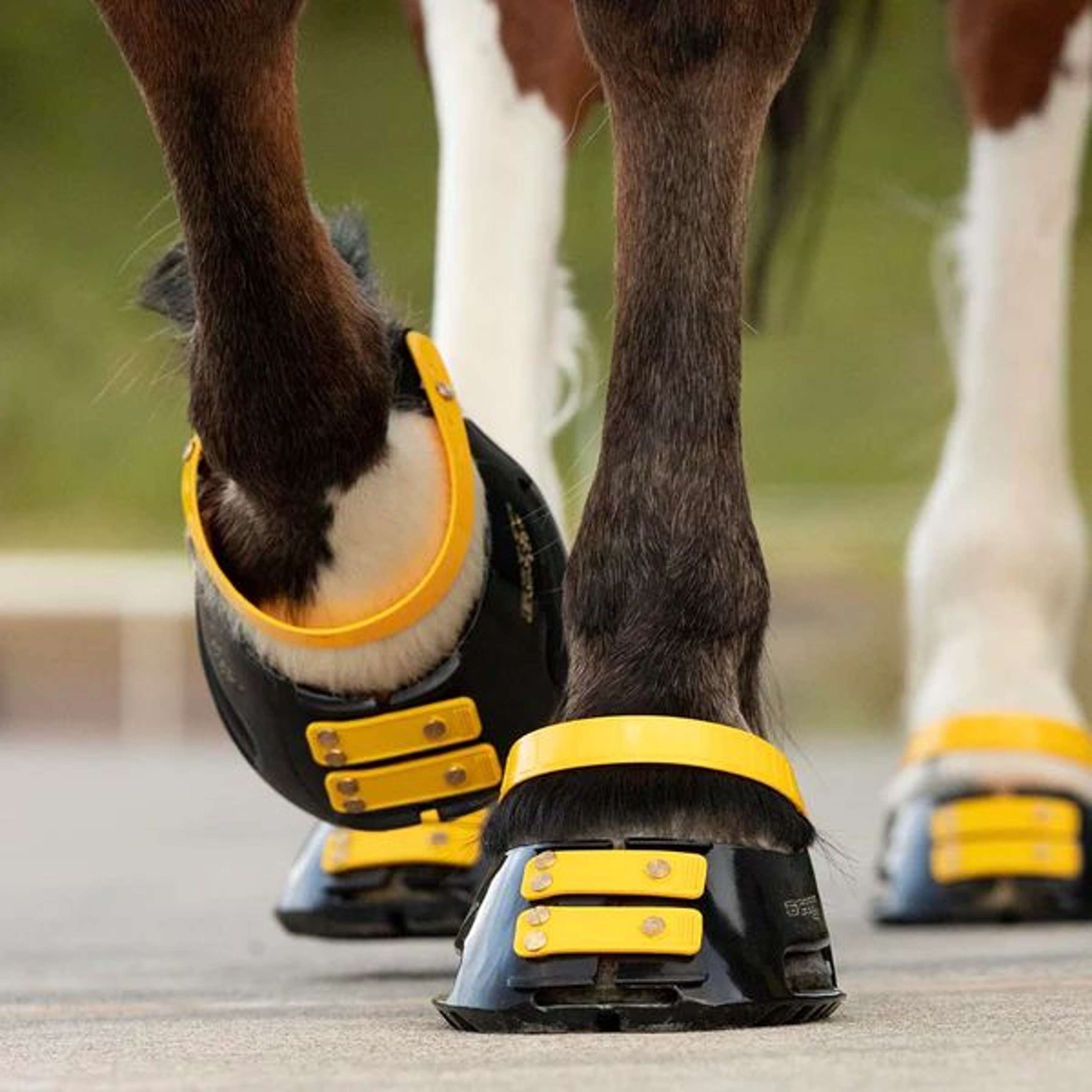 Scoot Boot Front Strap Marigold Scoot Boot Front Strap Marigold