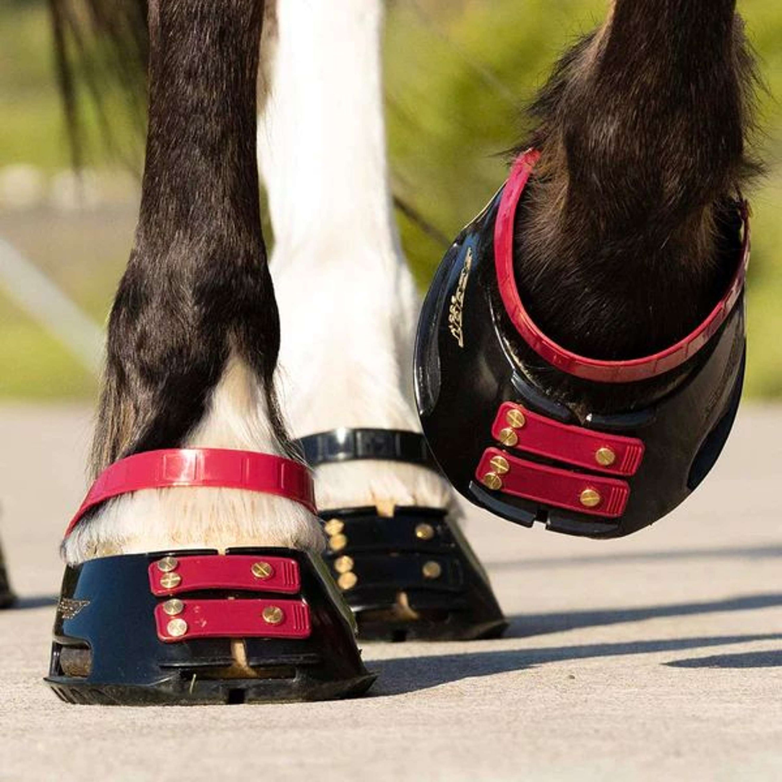 Scoot Boot Pastern Strap Mulberry Scoot Boot Pastern Strap Mulberry