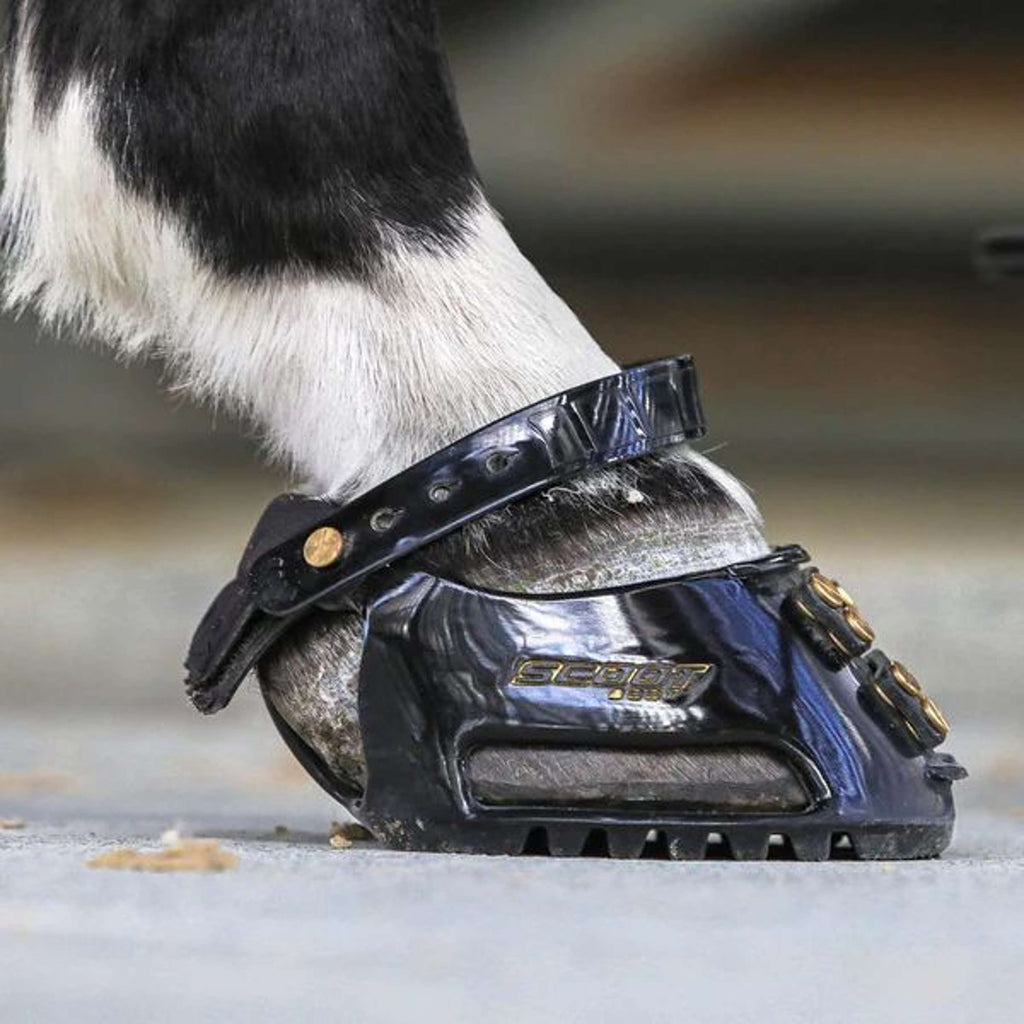 Scoot Boot Hipposandale Slim Single Poney Noir