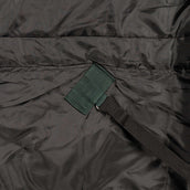 Agradi Horse Couverture d'Extérieur 1200D 300gr Bande Réfléchissante Vert