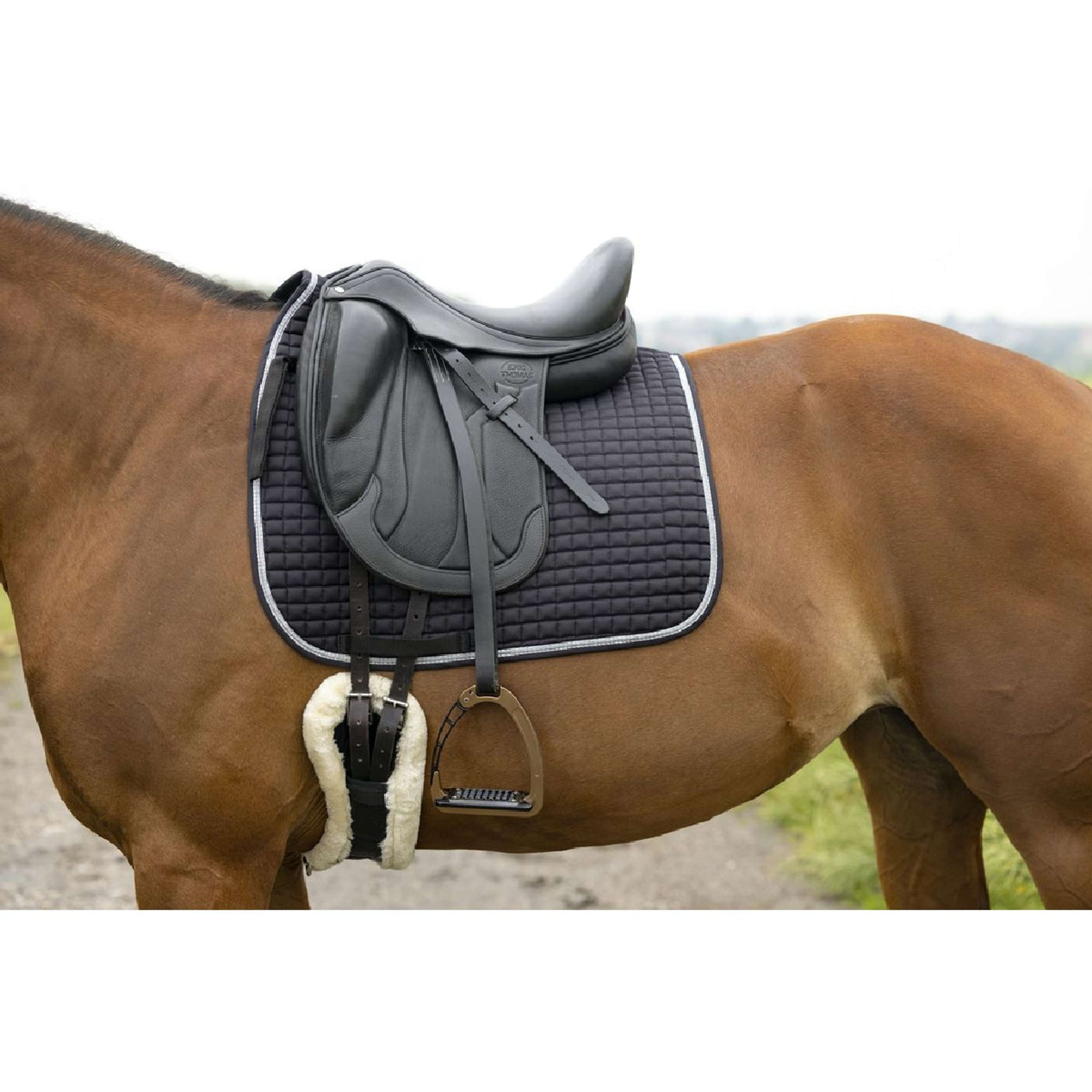 Riding World Tapis de Selle Girly Dressage Noir Riding World Tapis de Selle Girly Dressage Noir