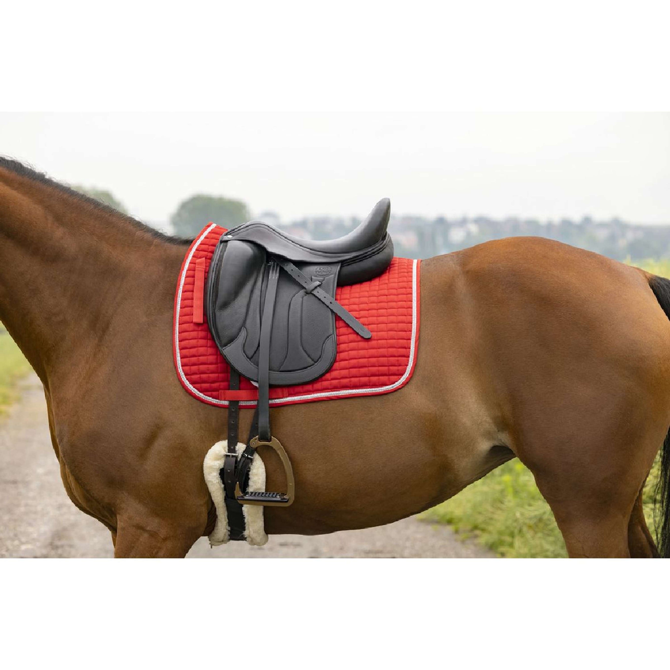 Riding World Tapis de Selle Girly Dressage Rouge Riding World Tapis de Selle Girly Dressage Rouge