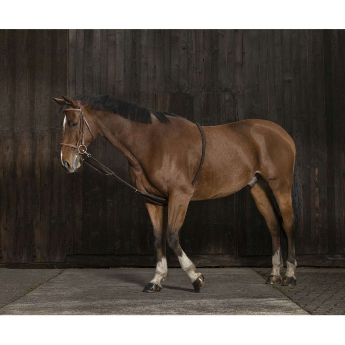 Norton Enrênement Peli Extensible Marron
