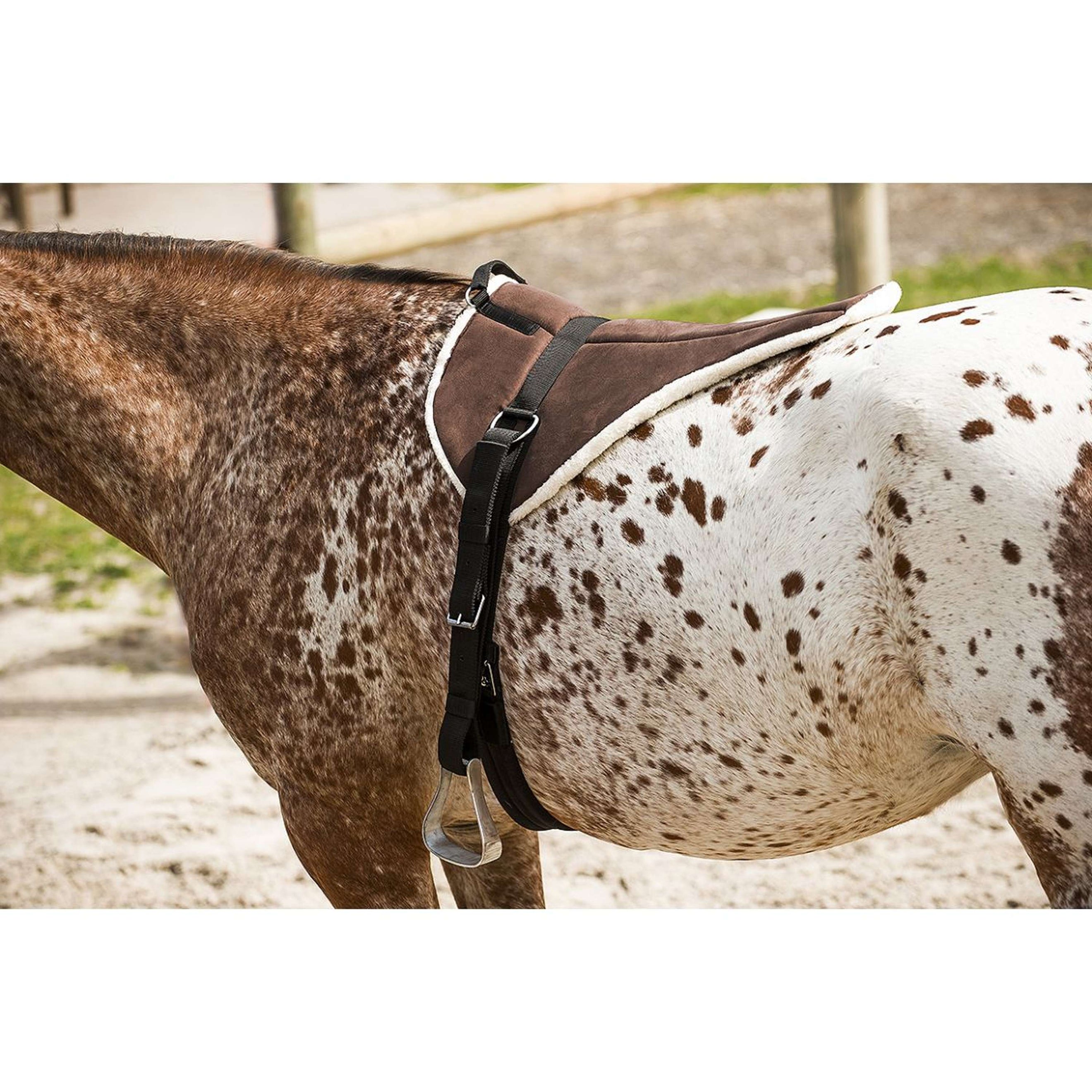 Norton Pad Sans Selle Soft Marron/beige