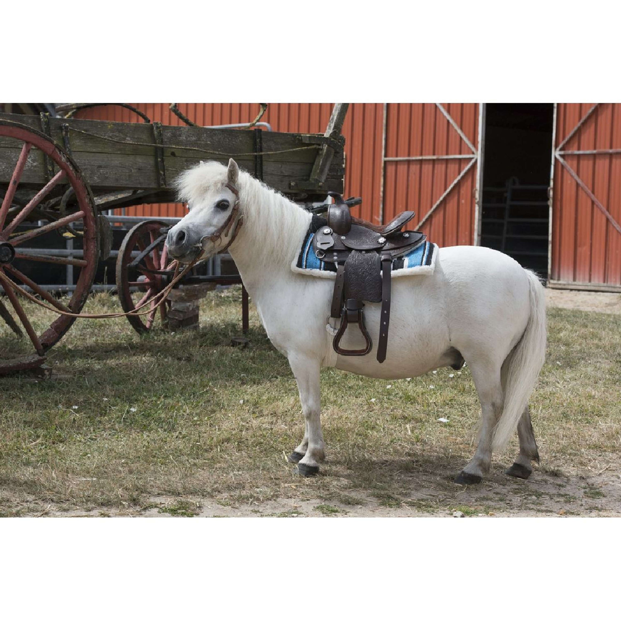 Westride Amortisseur de Selle Navajo Matelassé Turquoise/Noir/Blanc Westride Amortisseur de Selle Navajo Matelassé Turquoise/Noir/Blanc