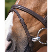 Riding World Bride avec Muserolle Combinée Havane