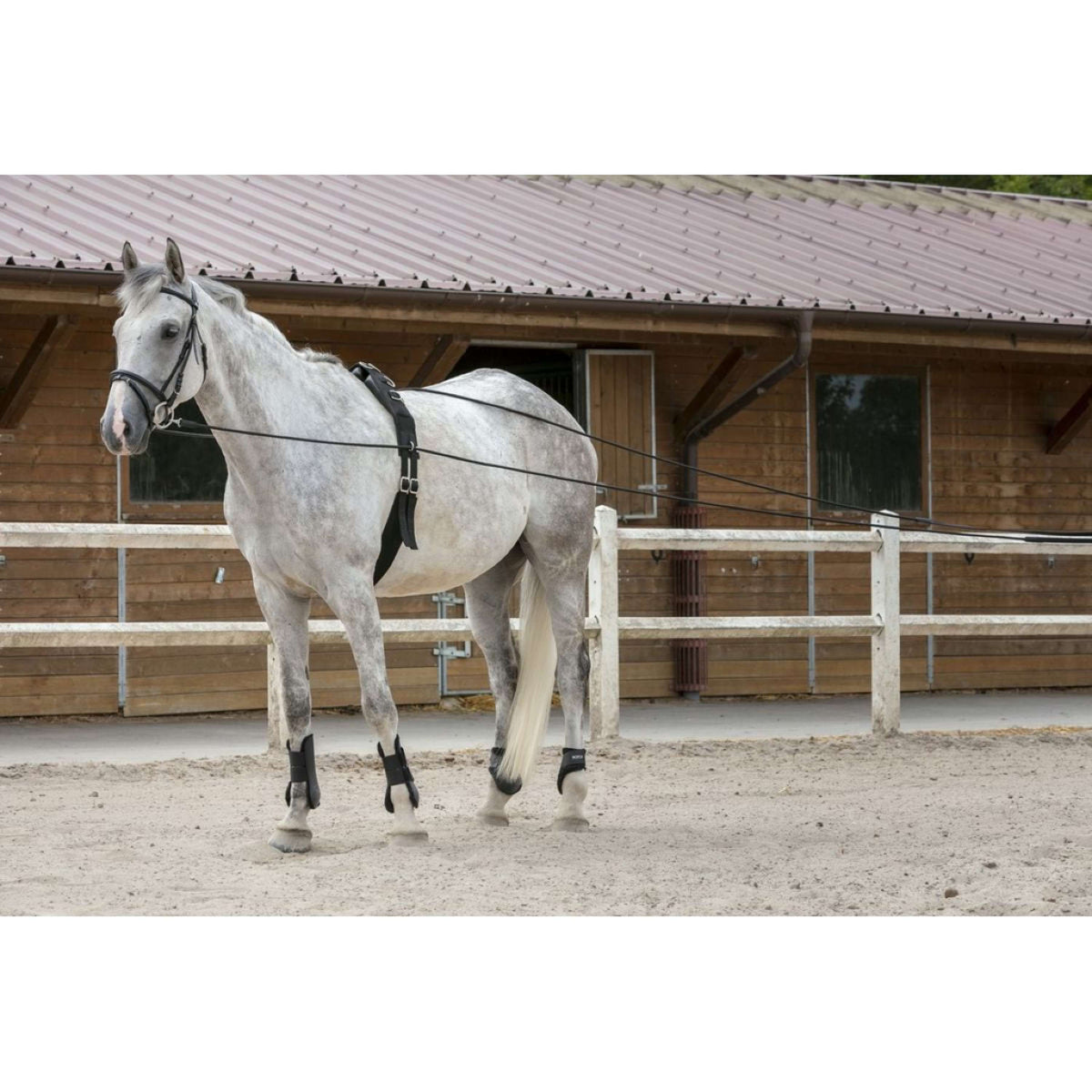 Riding World longues Rênes Cuir/Corde Havane