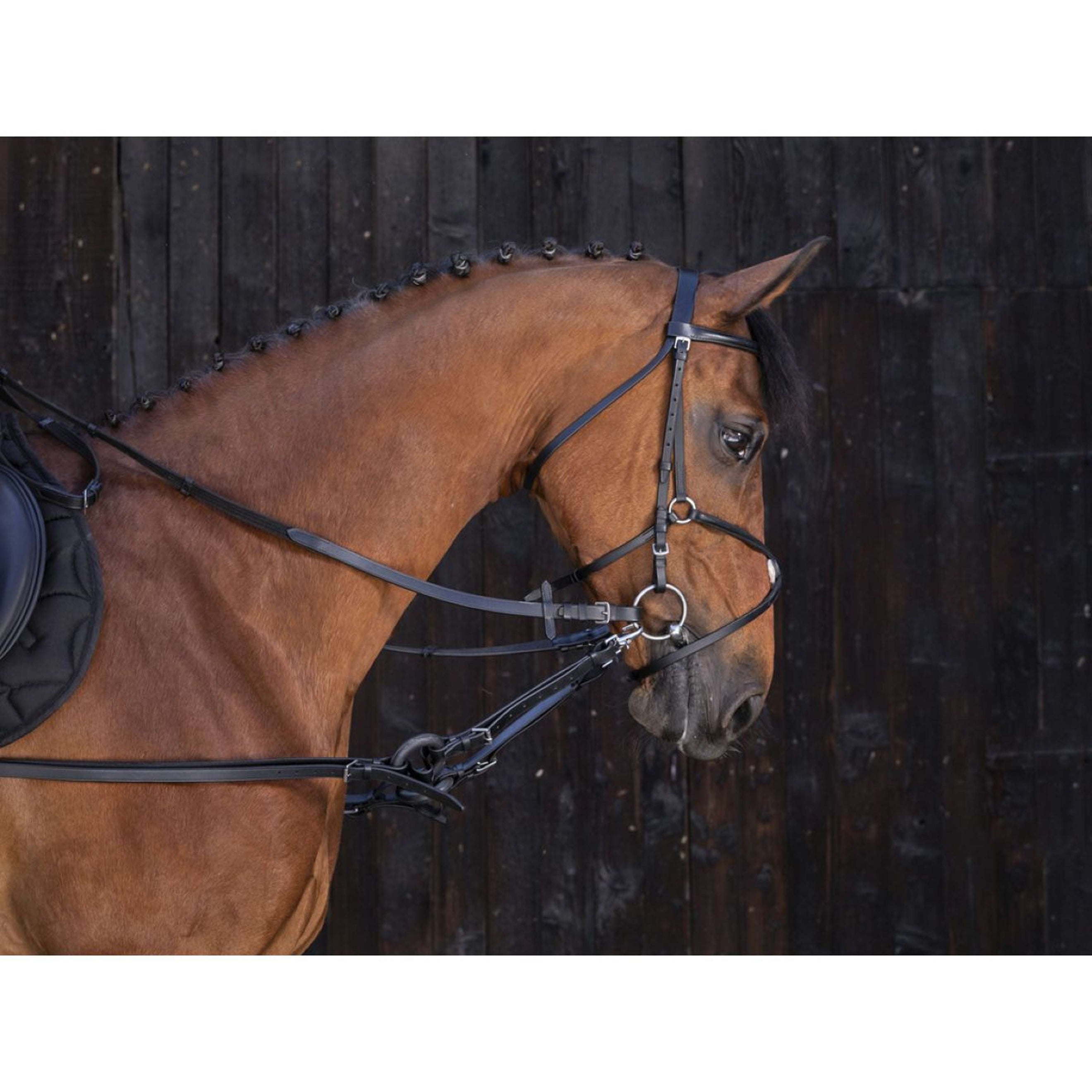 Riding World Rênes Fixes Ring Noir Riding World Rênes Fixes Ring Noir