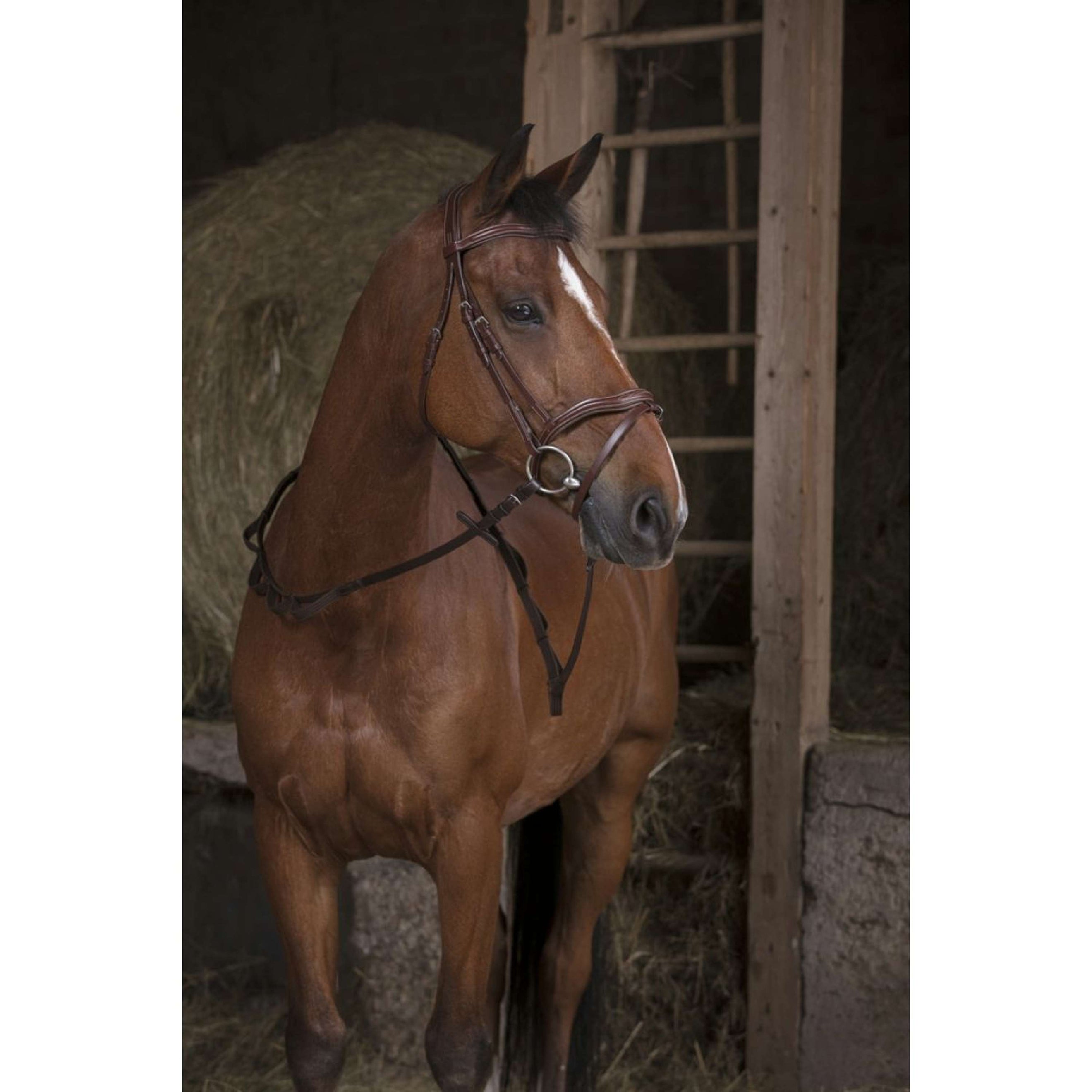Norton Rênes Pro Hunting avec Poignées Havane Norton Rênes Pro Hunting avec Poignées Havane