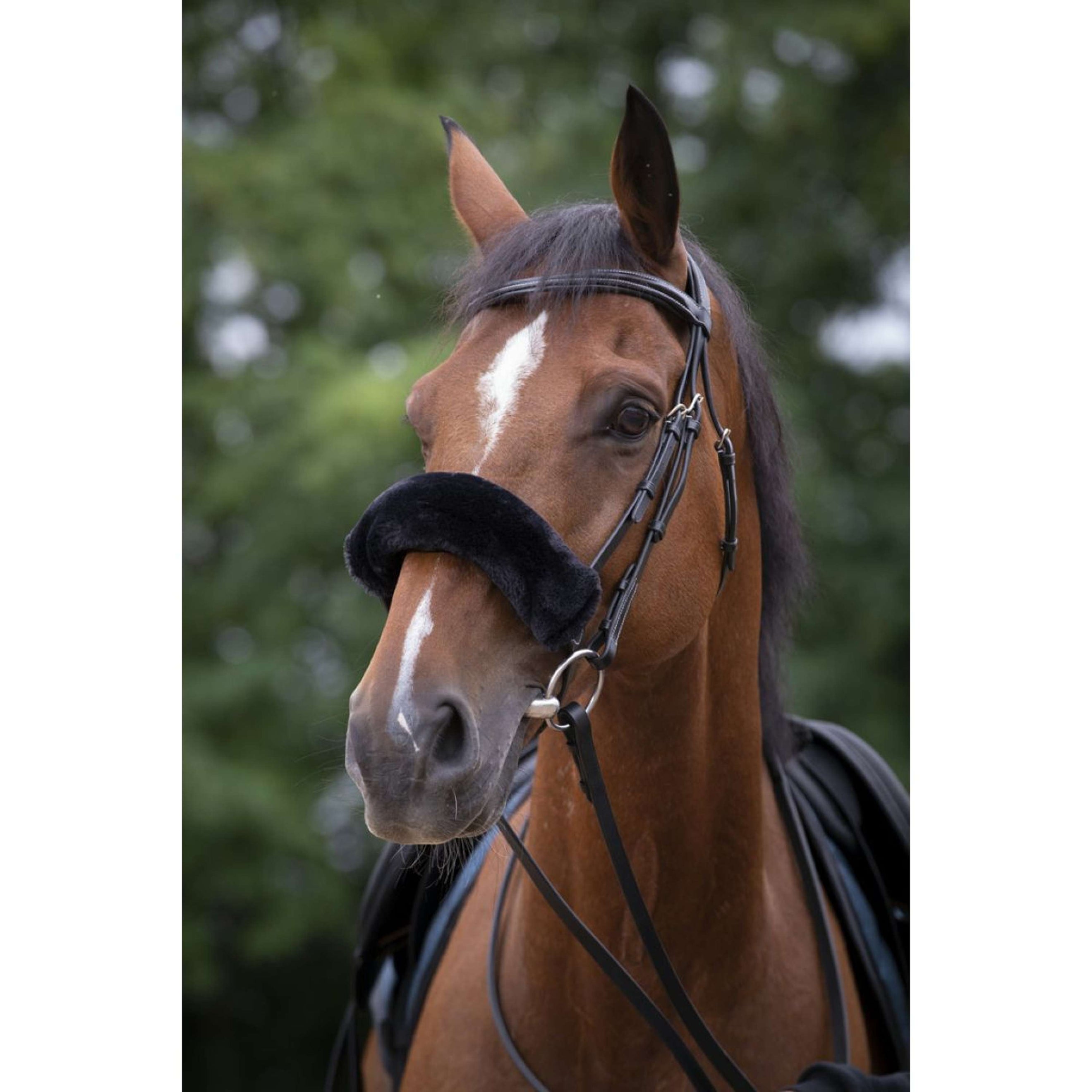 EQUITHÈME Fourreau Muserolle Teddy Noir EQUITHÈME Fourreau Muserolle Teddy Noir