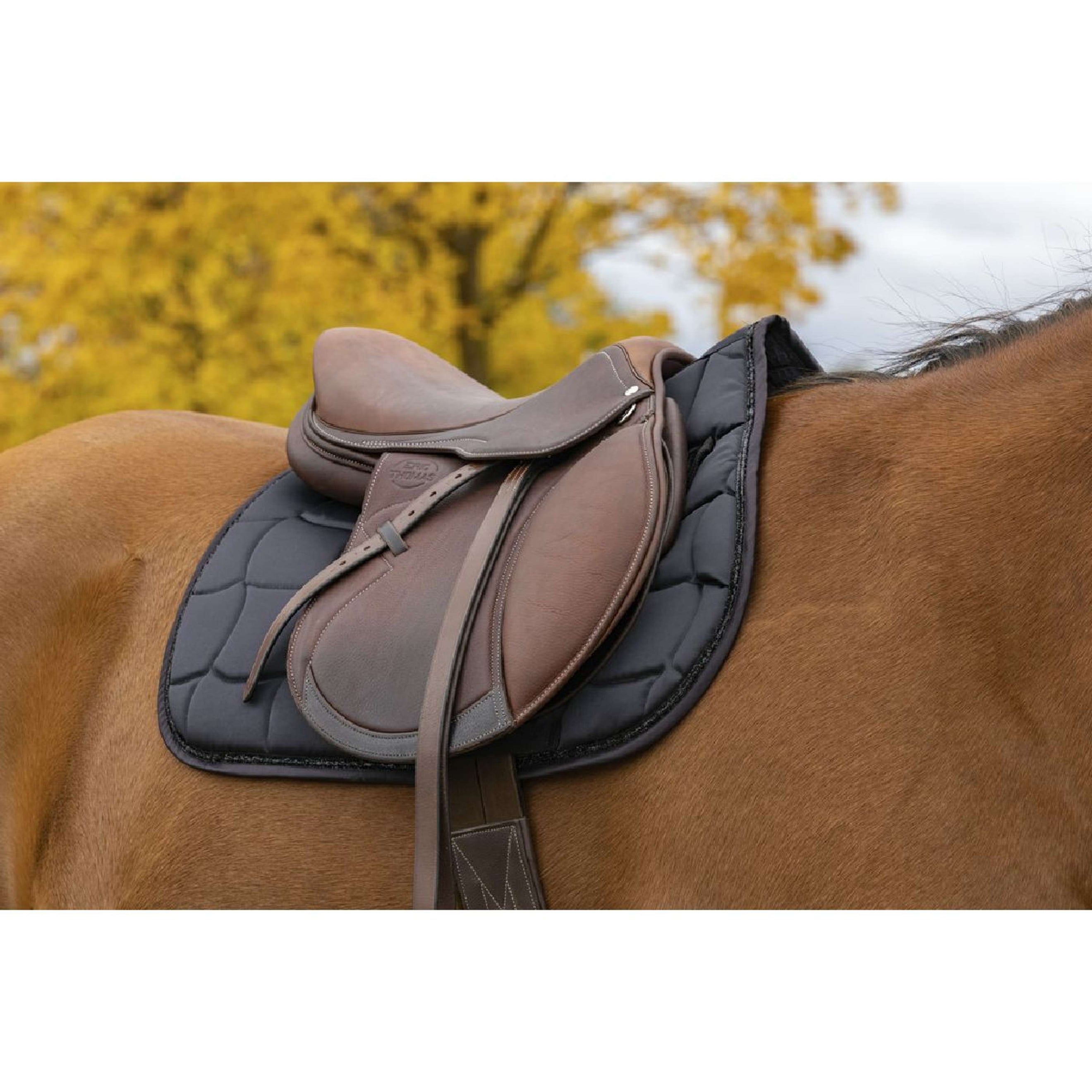 EQUITHÈME Tapis de Selle Satin Polyvalent Noir EQUITHÈME Tapis de Selle Satin Polyvalent Noir