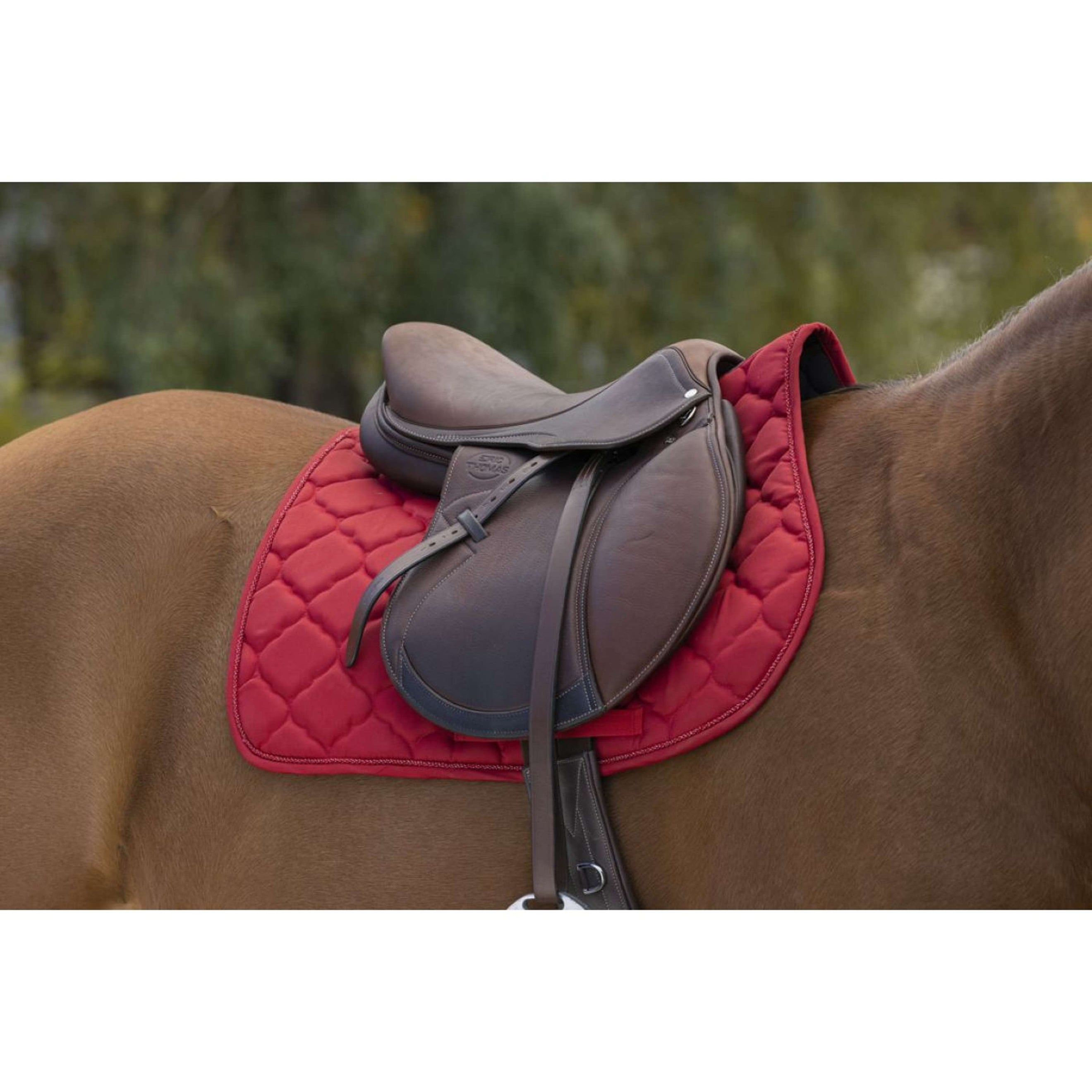 Riding World Tapis de Selle Rope Rouge Riding World Tapis de Selle Rope Rouge