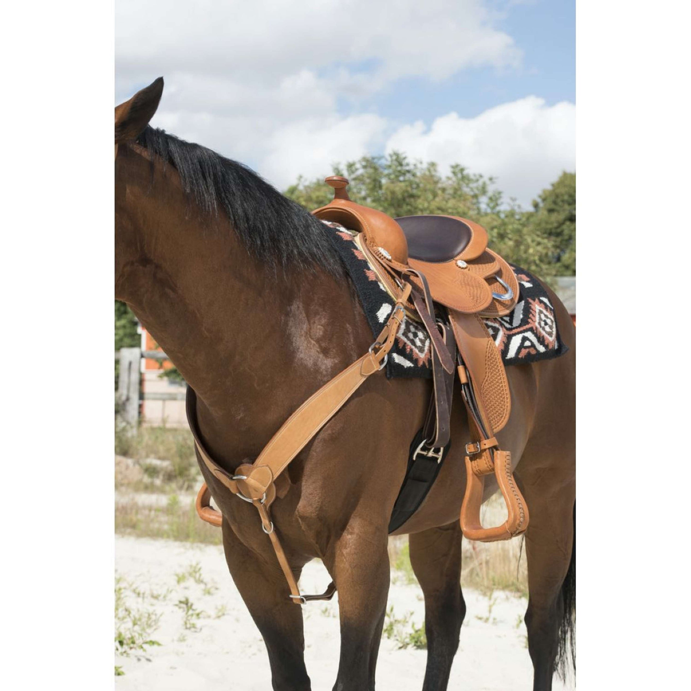 Westride Collier de Chasse Billy Noisette