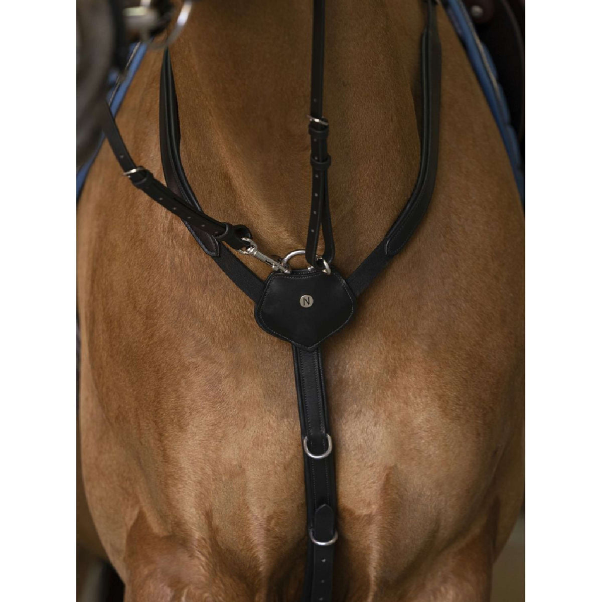 Norton Collier de Chasse Pro Confort Noir
