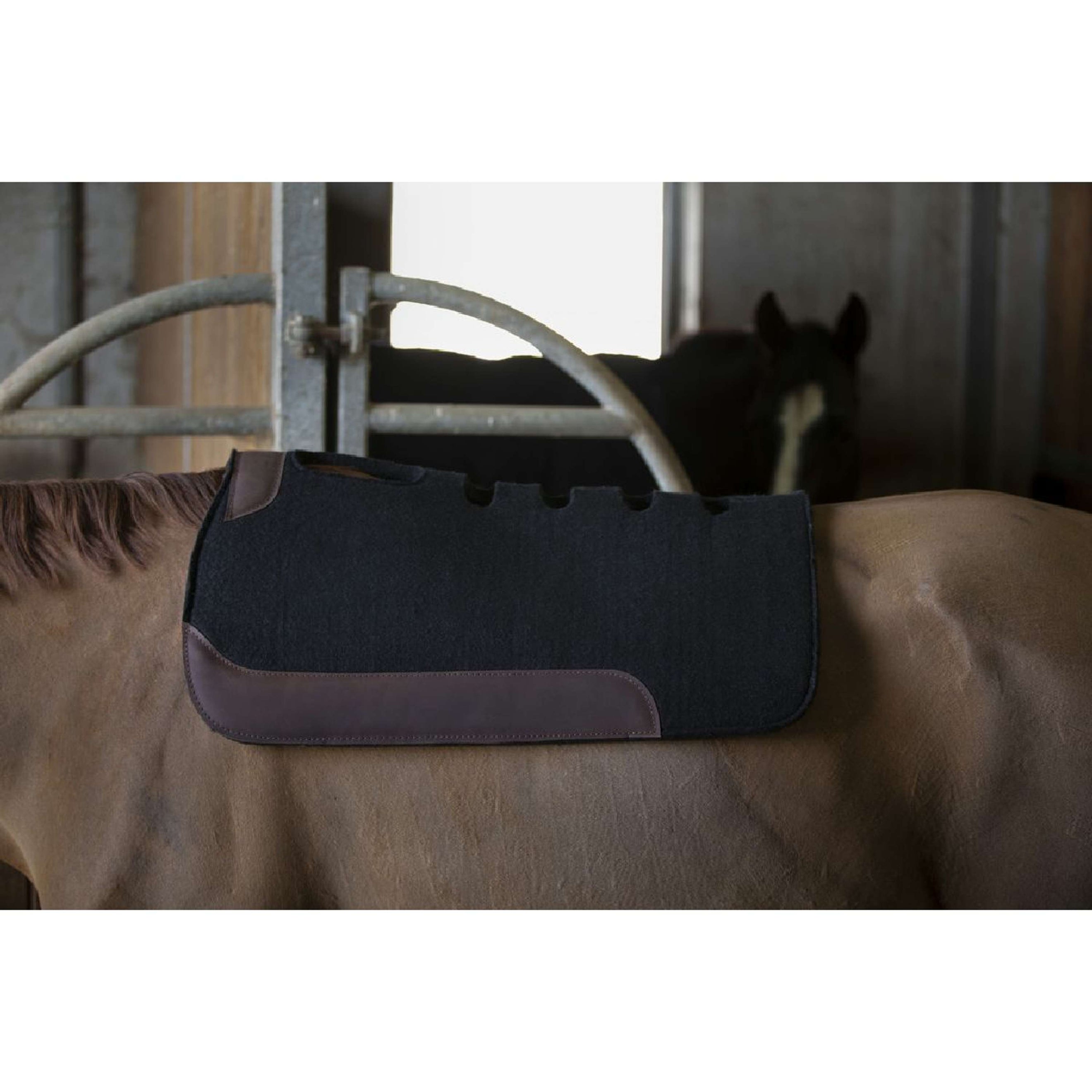 Westride Tapis Western avec Sacs Noir Westride Tapis Western avec Sacs Noir