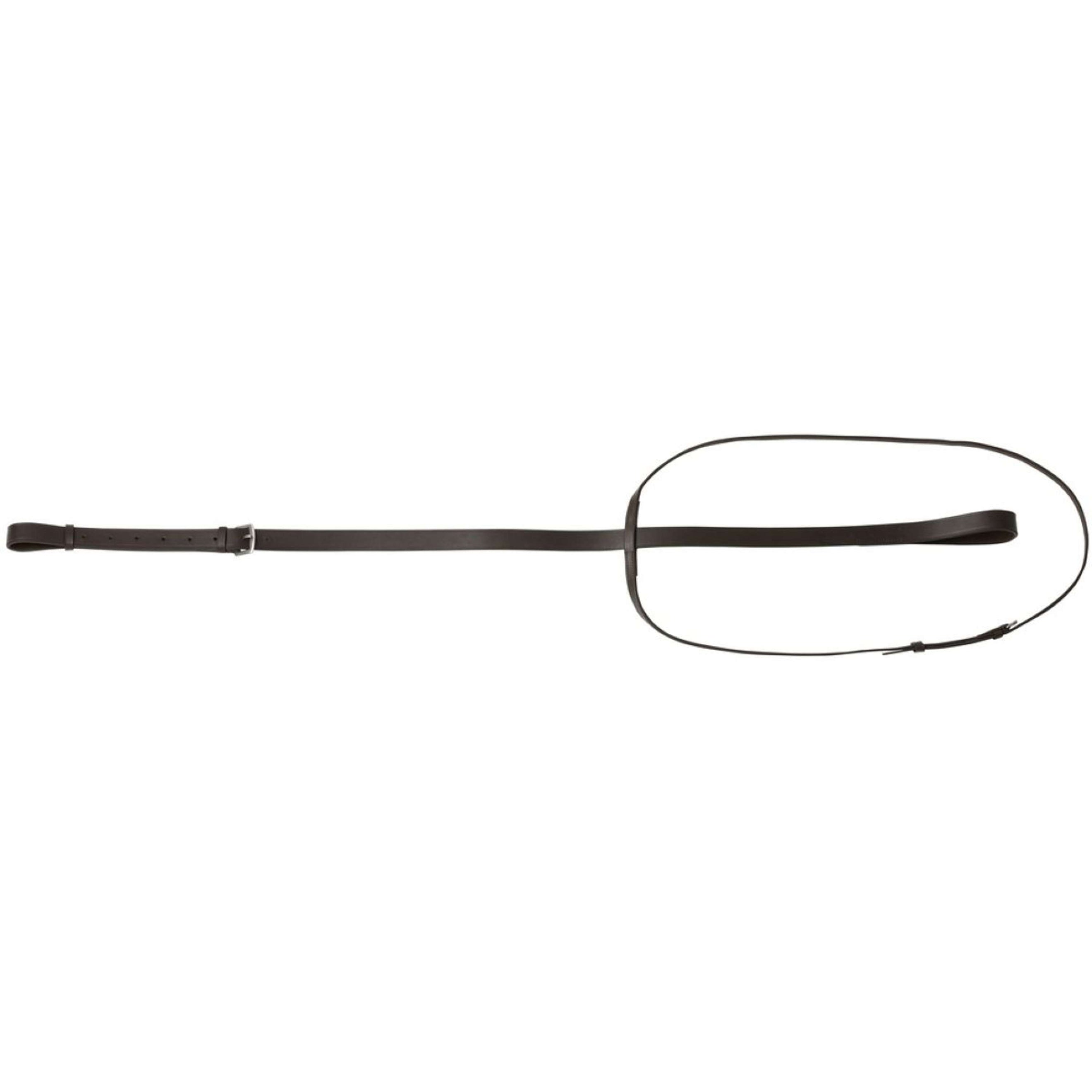 Riding World Martingale Standing Havane