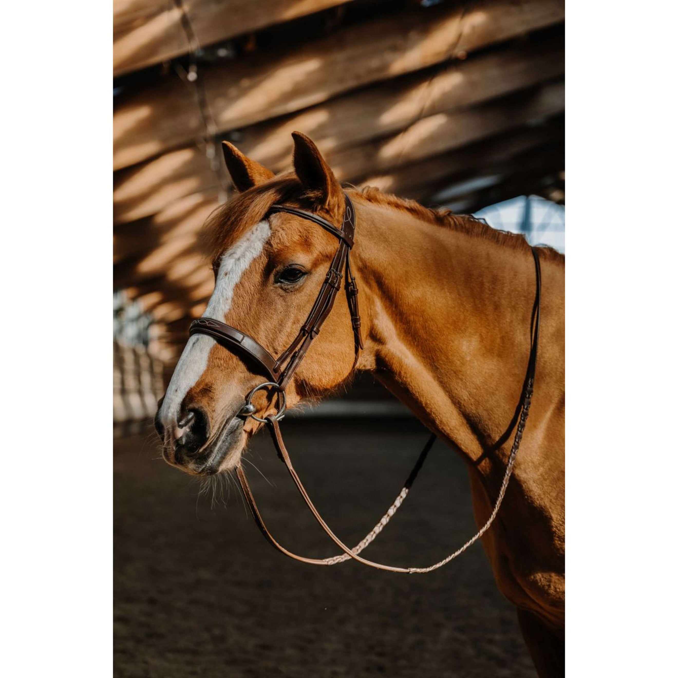 Norton Bride Hunter Fancy Havane Norton Bride Hunter Fancy Havane