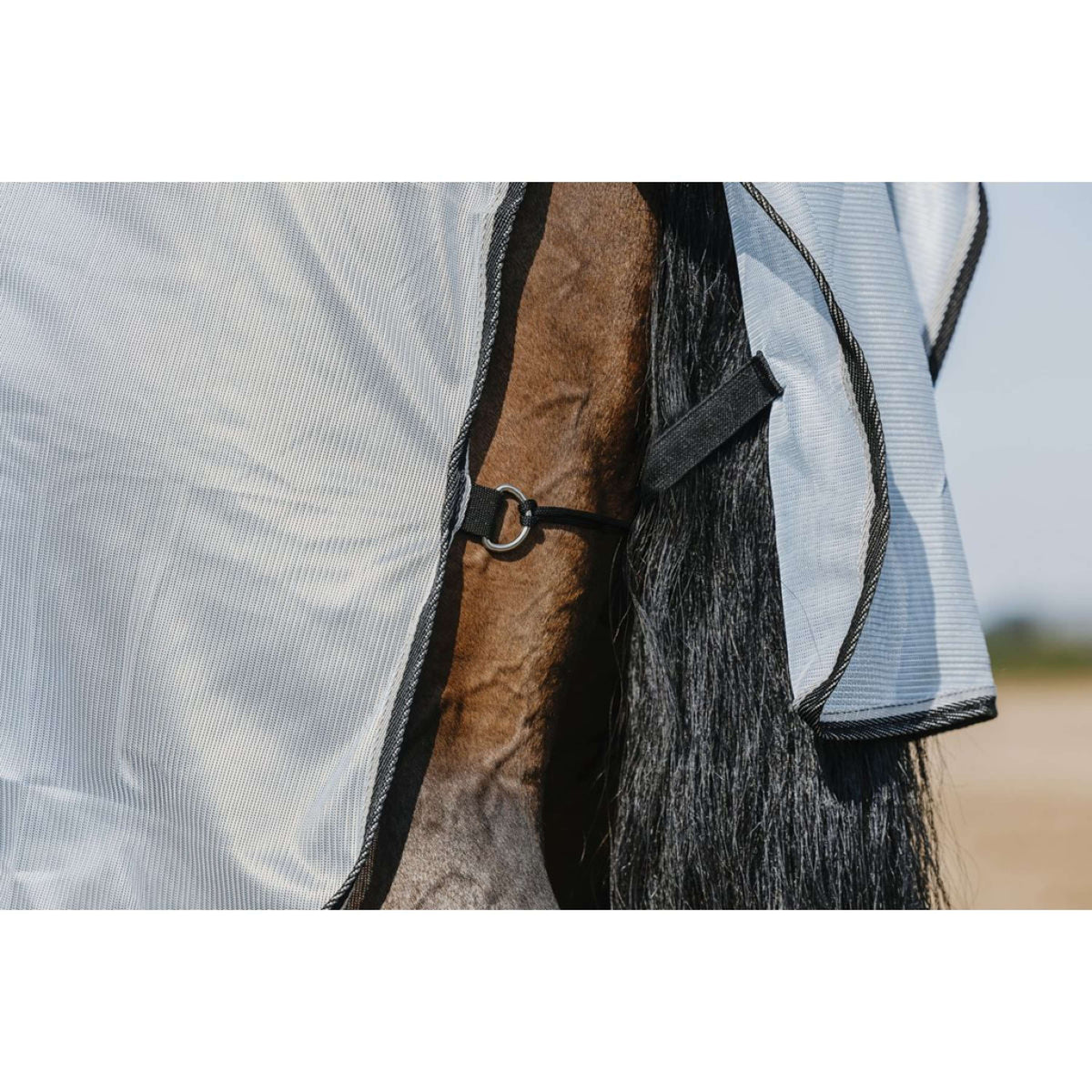 Riding World Couverture Anti-Mouches Belly Mesh Gris