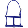 Bleu Royal