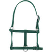 Vert Foncé