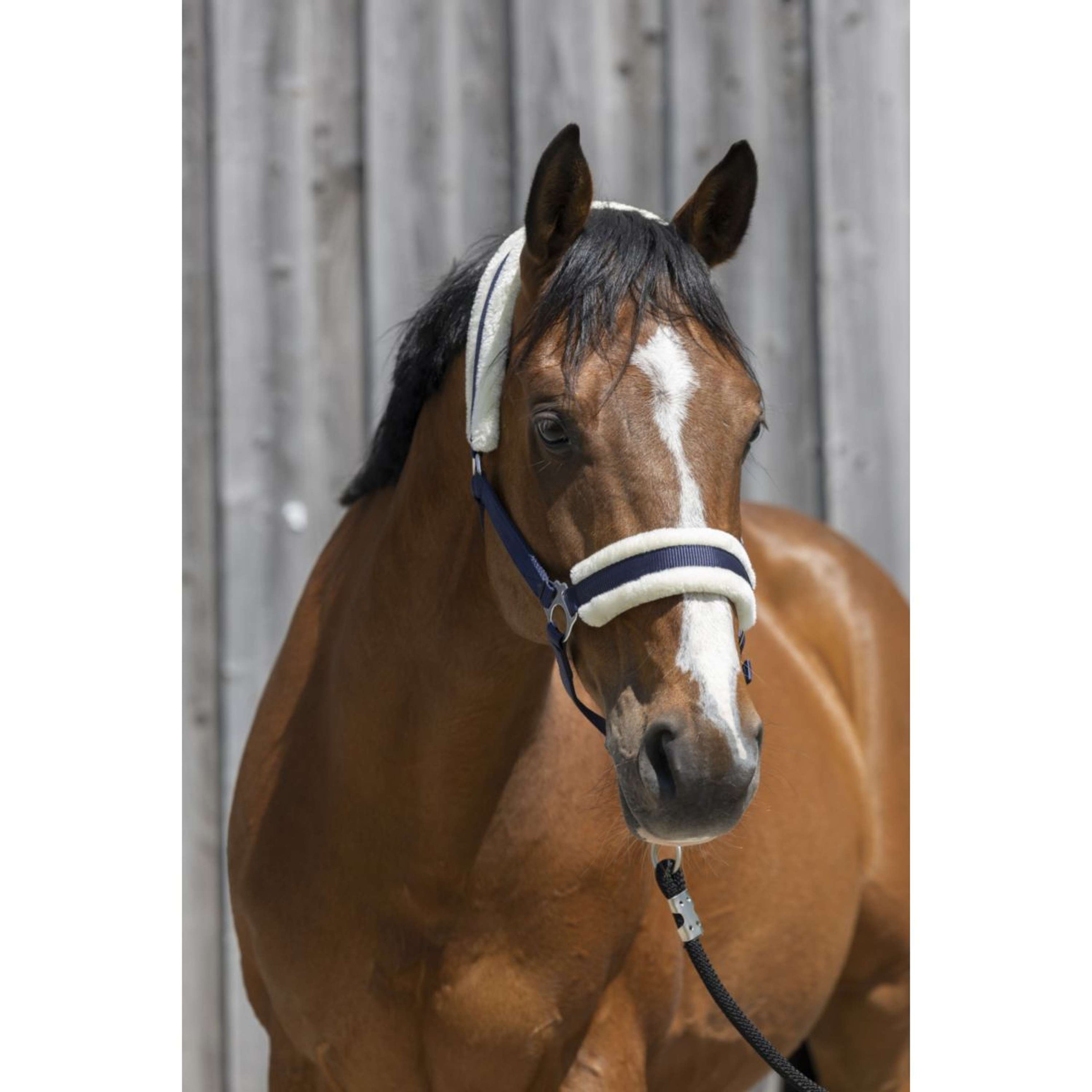 Riding World Licol Synthetic Fur Marin Riding World Licol Synthetic Fur Marin