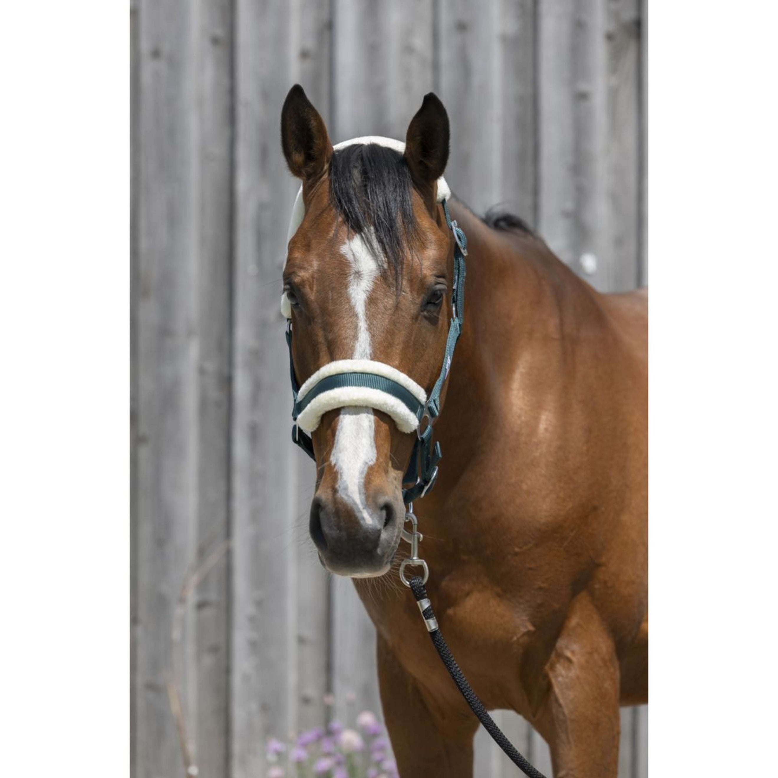 Riding World Licol Synthetic Fur Vert Foncé Riding World Licol Synthetic Fur Vert Foncé