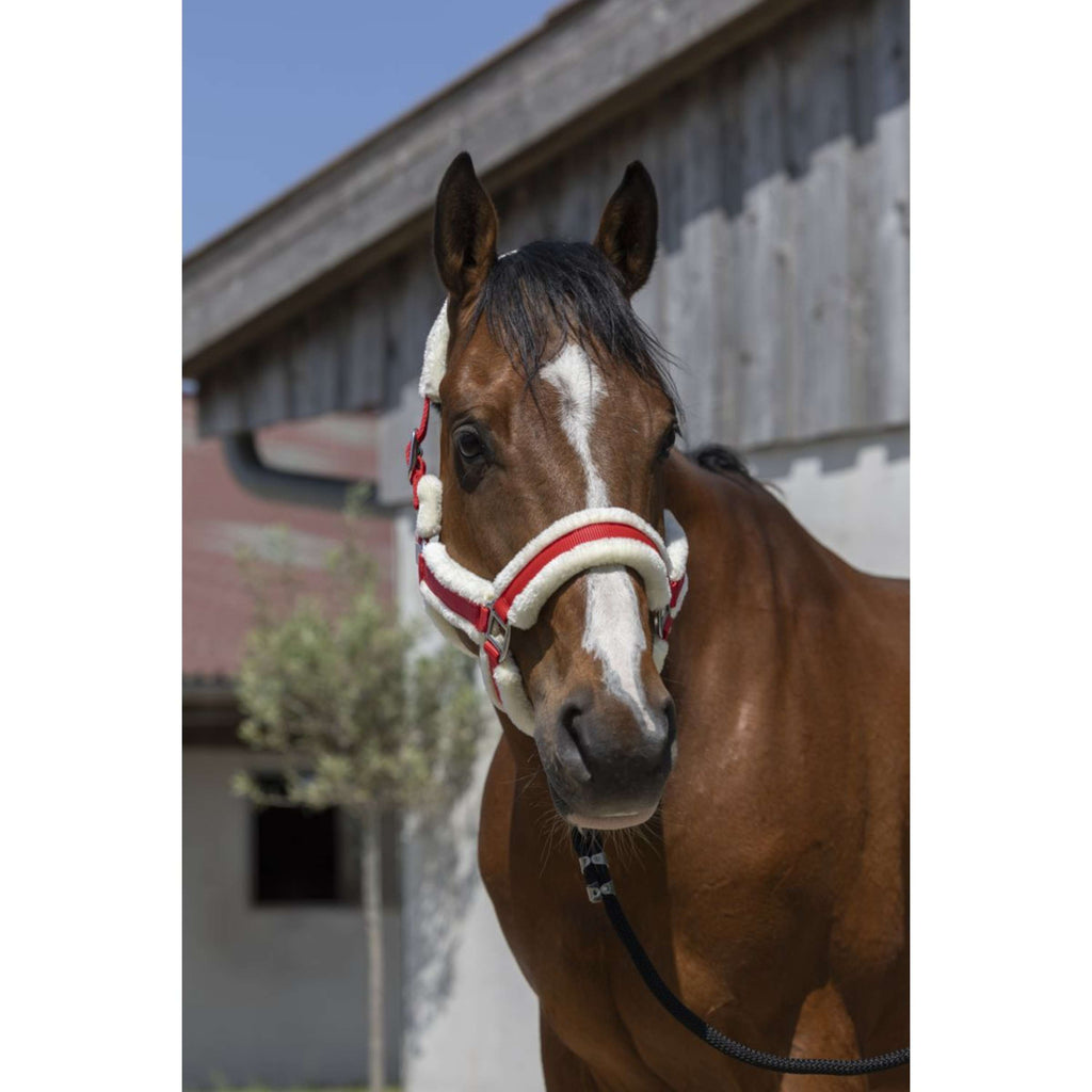Norton Licol Cosy Rouge