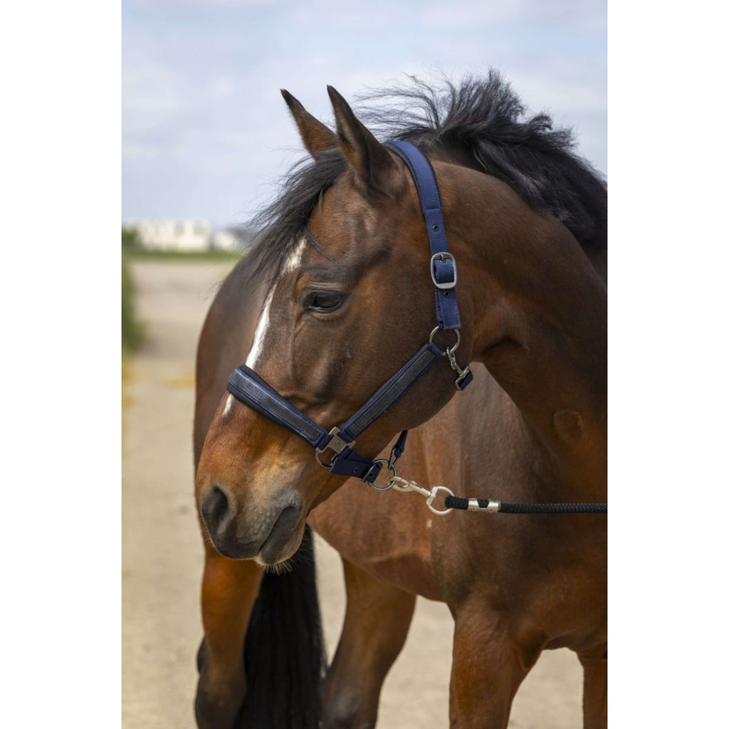 EQUITHÈME Licol Strass Nylon Marin