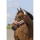 EQUITHÈME Licol Mouton Nylon Bordeaux/Blanc