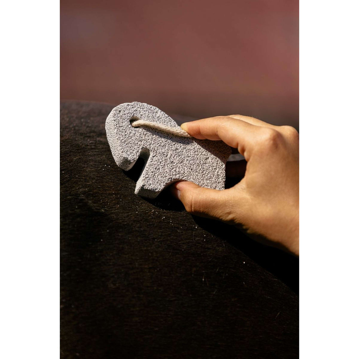 Hippotonic Moellons Horse Blanc
