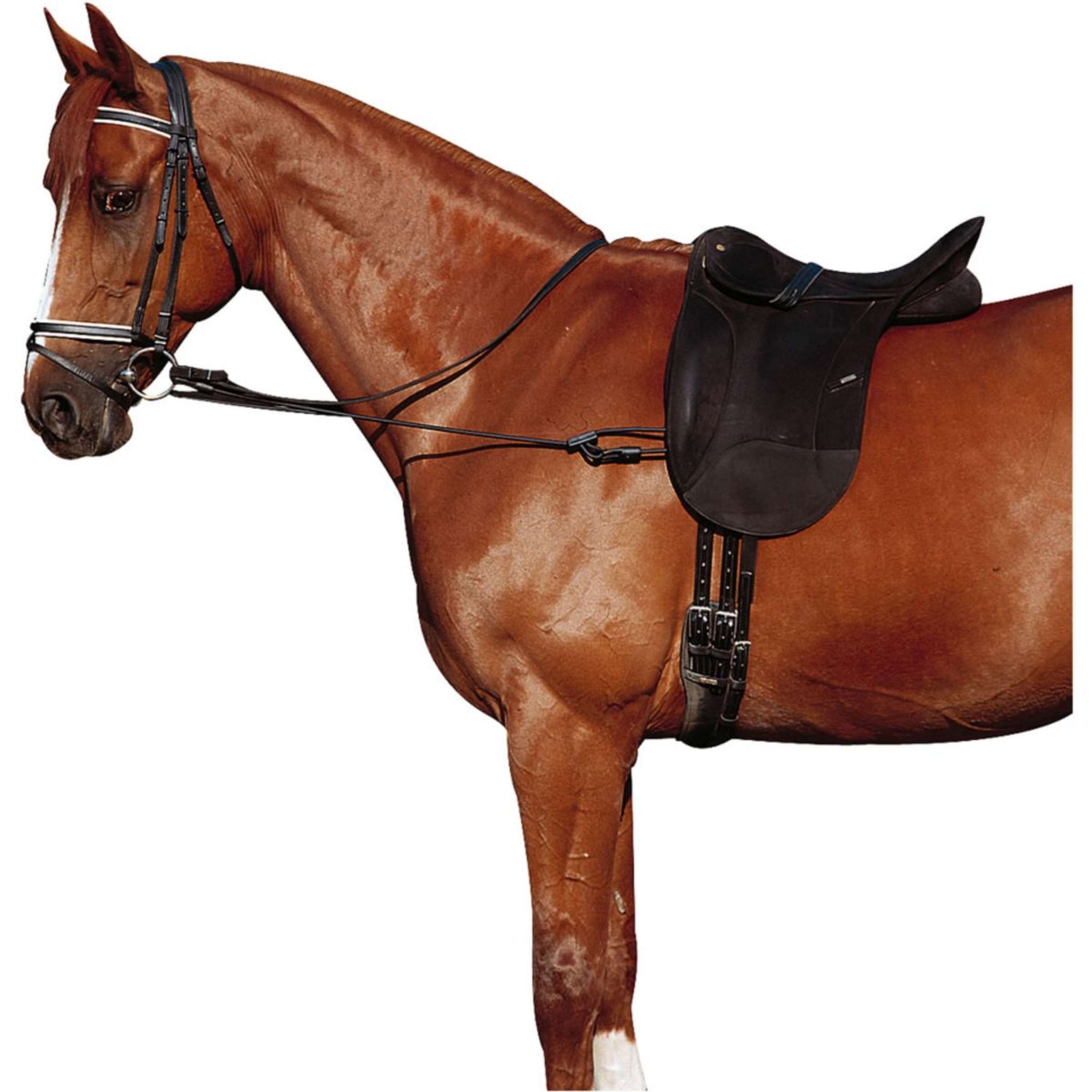 Norton Rênes Fixes Élastique Réglable Noir Norton Rênes Fixes Élastique Réglable Noir