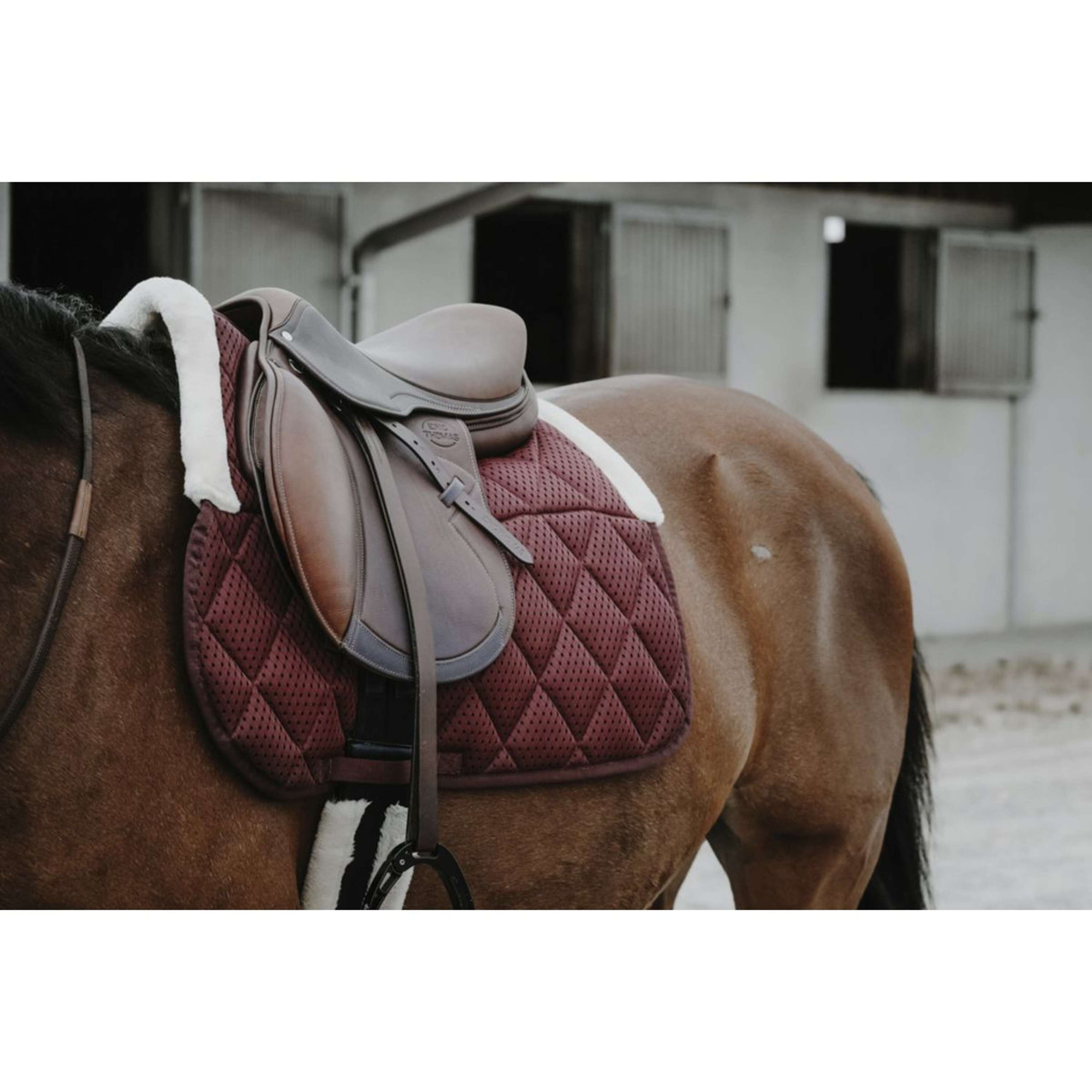 EQUITHÈME Tapis de Selle Pro Air Polyvalent Bordeaux EQUITHÈME Tapis de Selle Pro Air Polyvalent Bordeaux