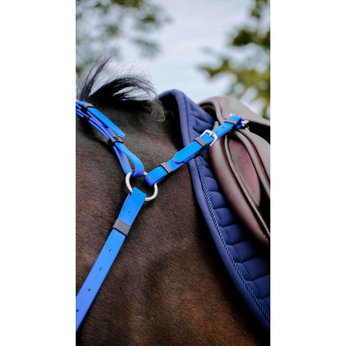 Norton Martingale Endurance Bleu Royal