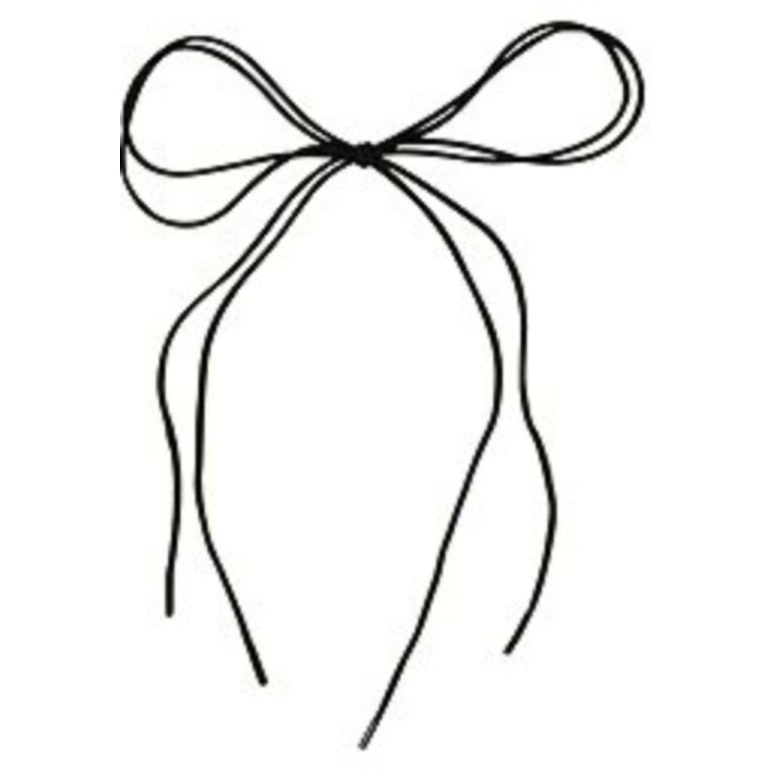 EQUITHÈME Lacets Noir