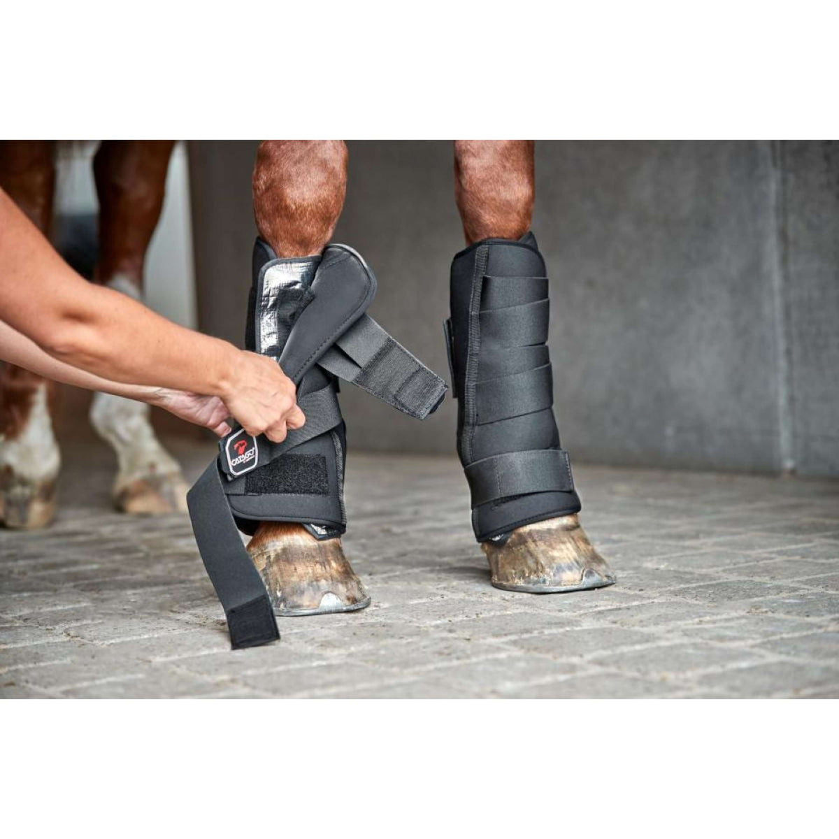 Catago Neoprene Shell for Stable Boot Noir