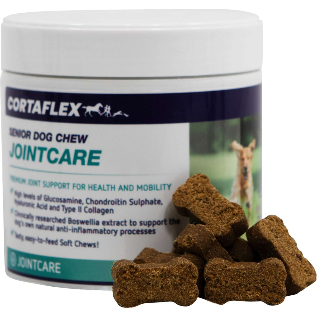Equine America riandises pour Chiens Senior