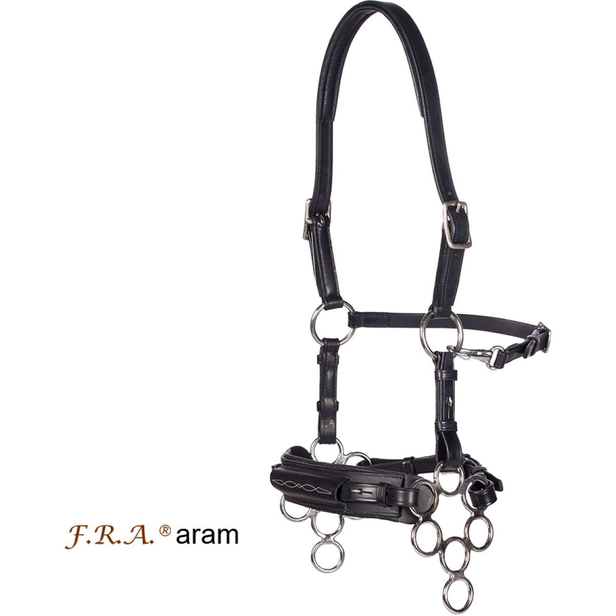 F.R.A. Hackamore Aram Cuir avec Branches Noir