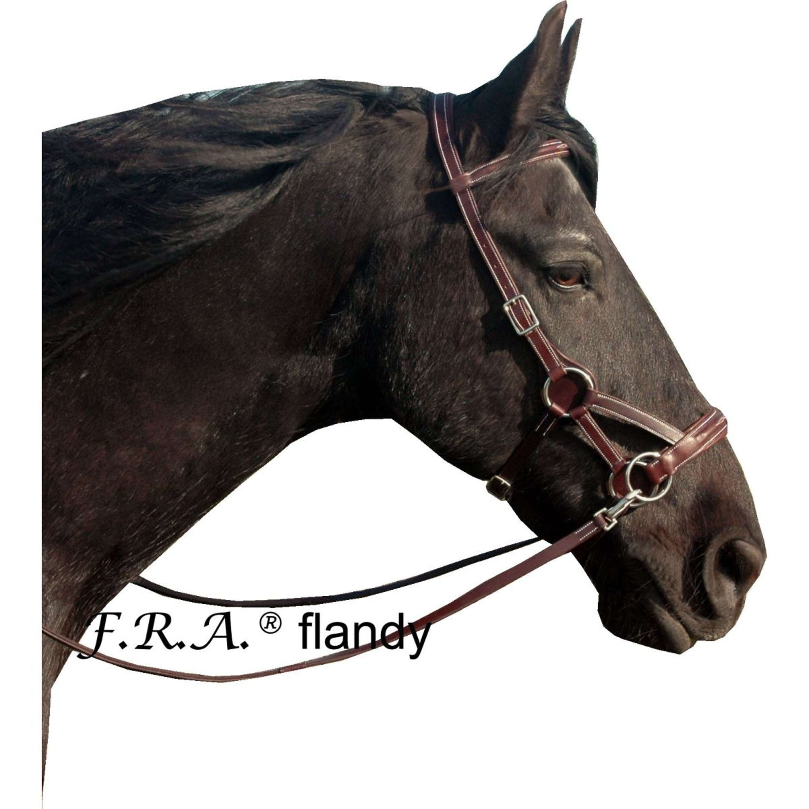 F.R.A. Bridon sans Mors Flandy Side Pull Rênes en Cuir avec Grip de Caoutchouc Marron F.R.A. Bridon sans Mors Flandy Side Pull Rênes en Cuir avec Grip de Caoutchouc Marron
