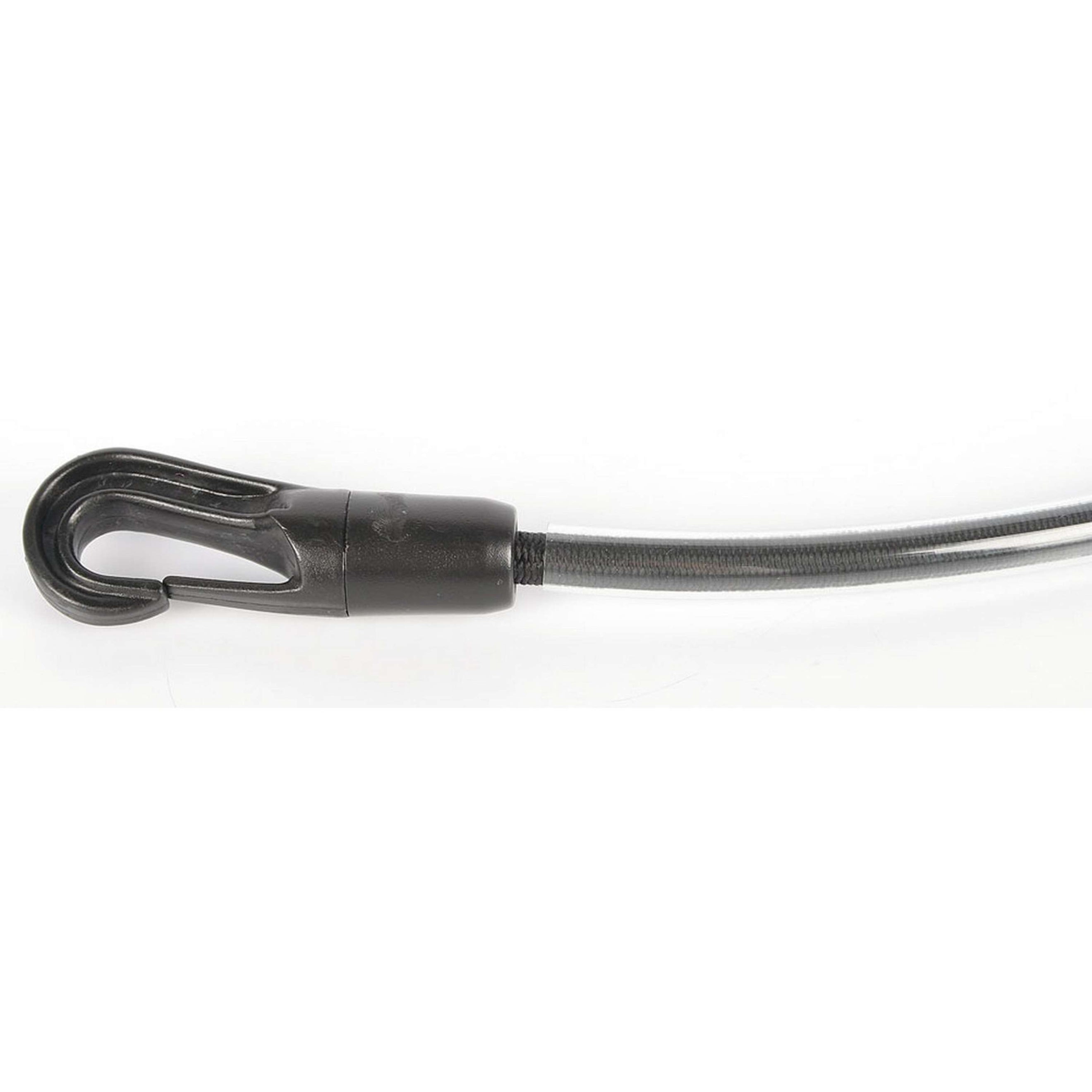 Harry's Horse Courroie de Cuisse Plastifié Harry's Horse Courroie de Cuisse Plastifié