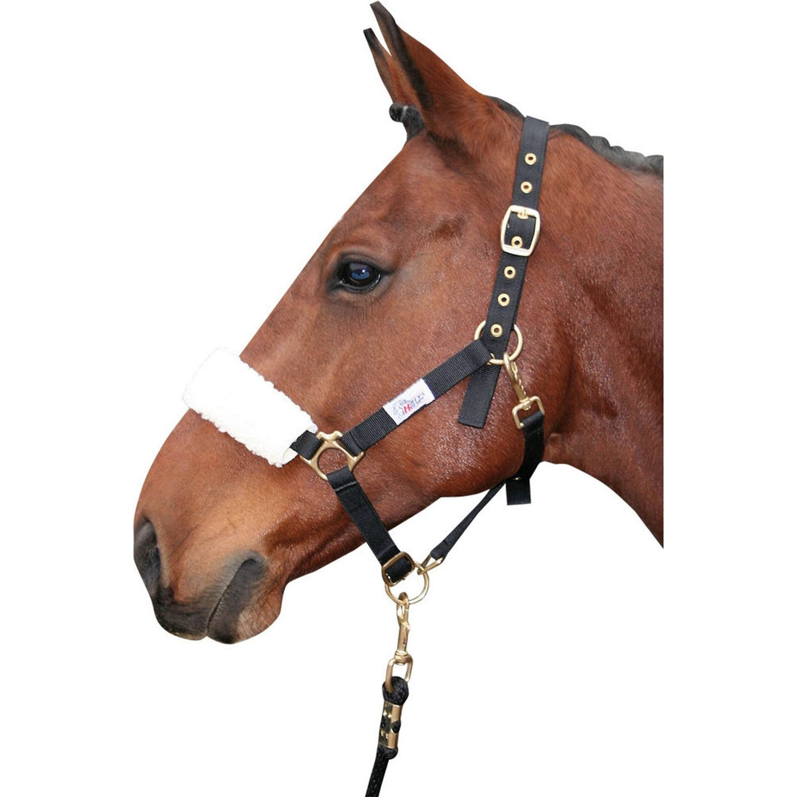 Harry's Horse Fourreau Muserolle Synthétique Beige Harry's Horse Fourreau Muserolle Synthétique Beige