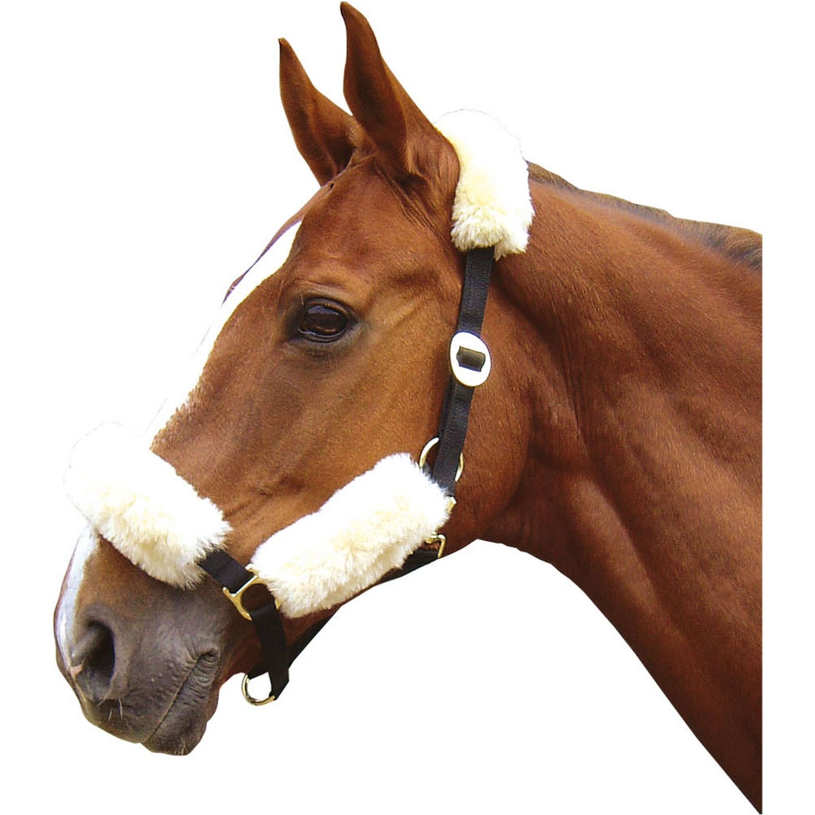 Harry's Horse Fourreaux merinos pour Licol Nature Harry's Horse Fourreaux merinos pour Licol Nature