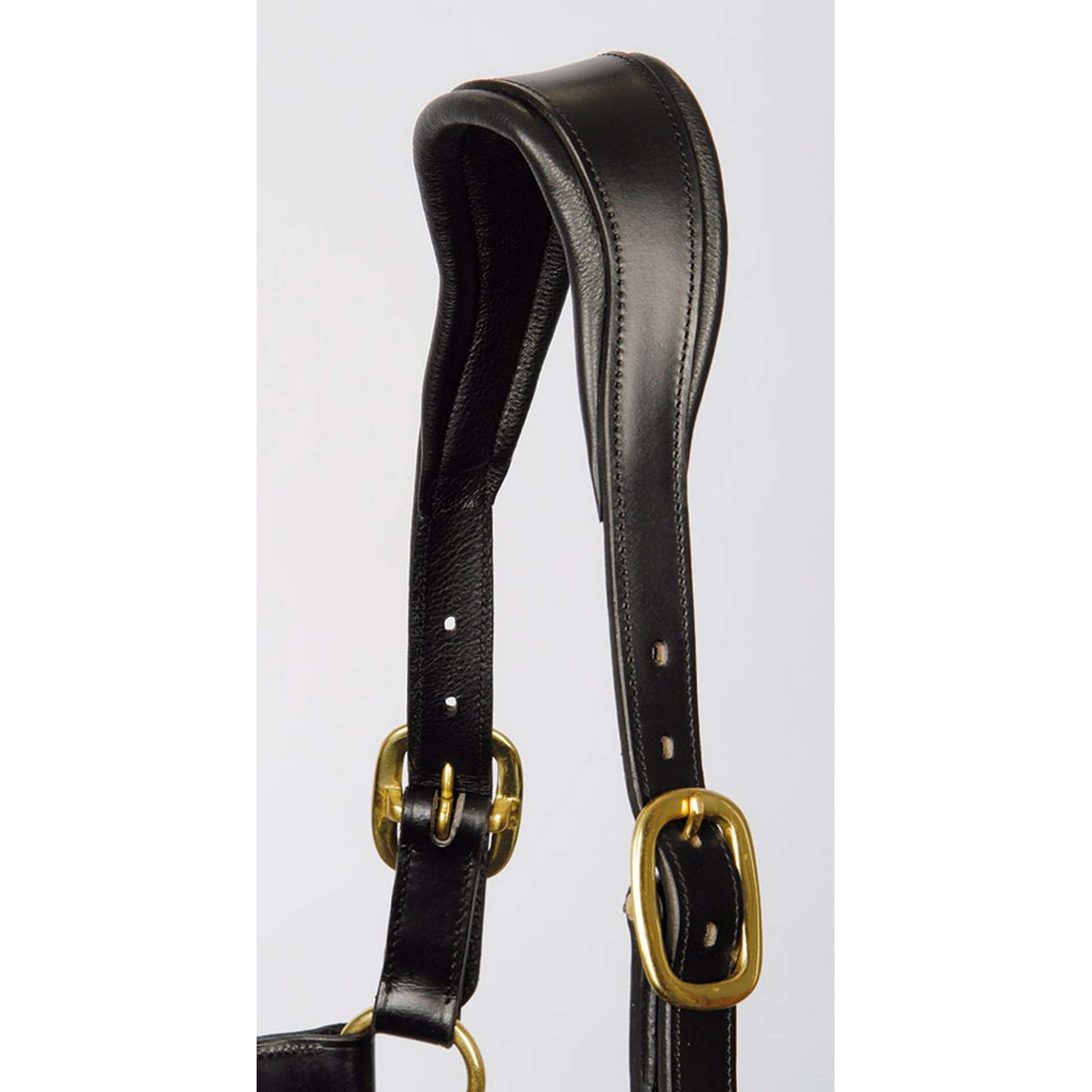 Harry's Horse Licol Noir Harry's Horse Licol Noir