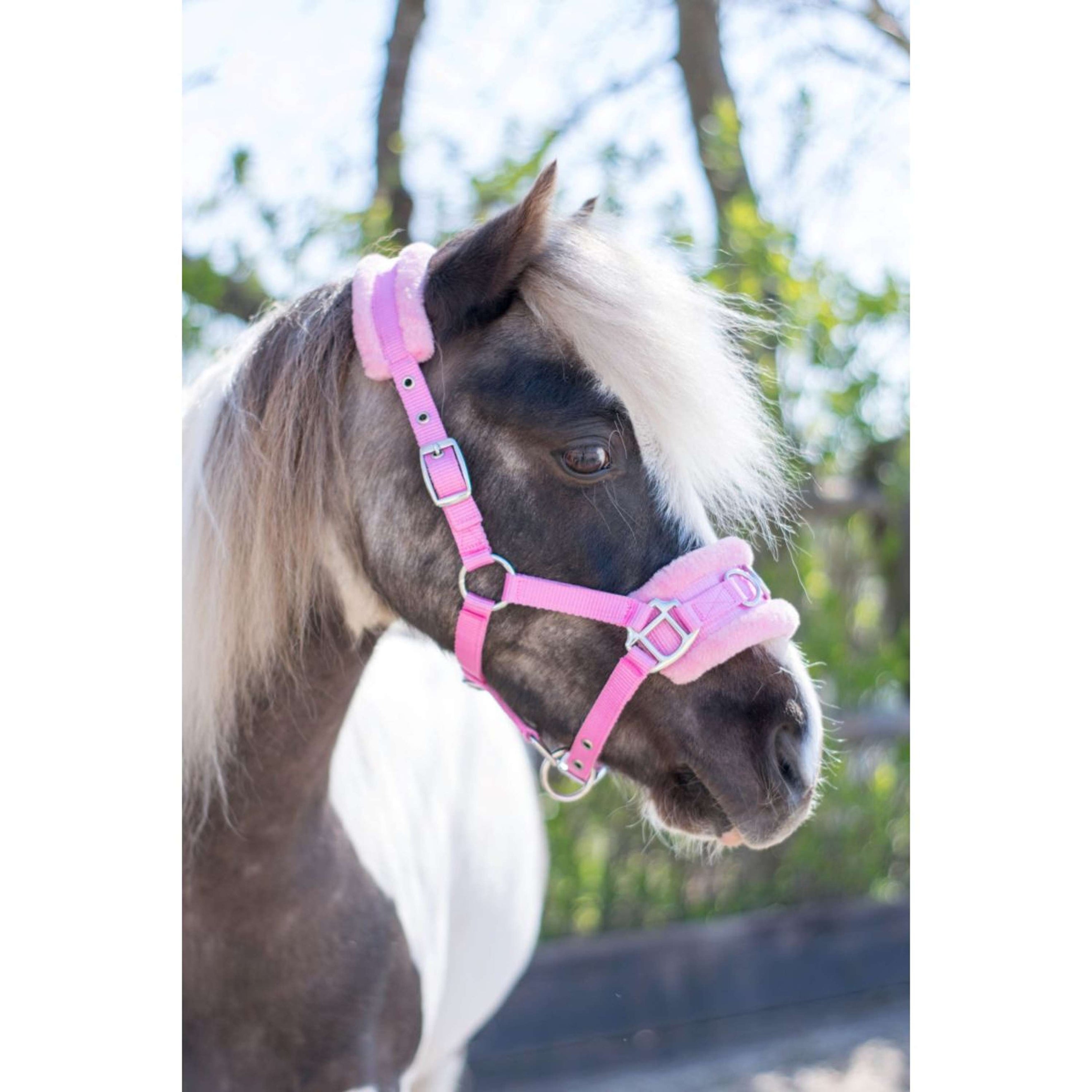 HB Licol Nylon Caveçon Rose HB Licol Nylon Caveçon Rose