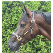 HB Licol Horse Name Leer Marron