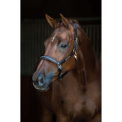 HB Licol Horse Name Leer Noir