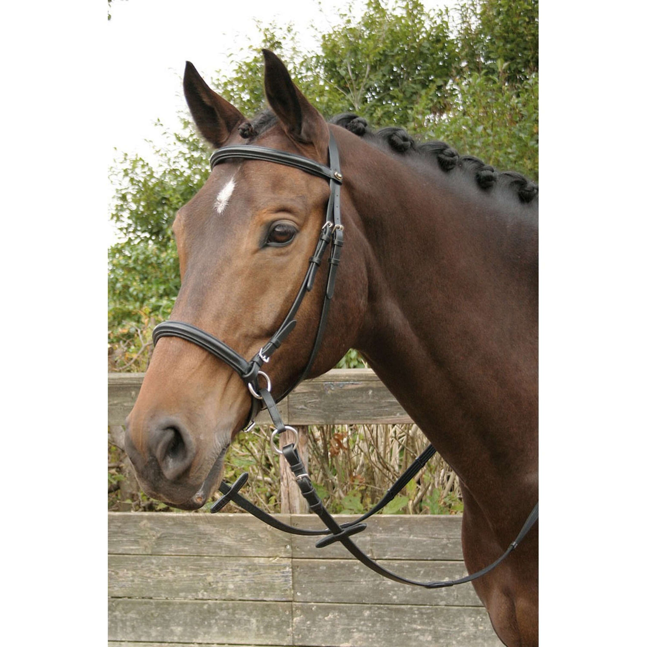 Harry's Horse Bridon sans Mors Noir Harry's Horse Bridon sans Mors Noir
