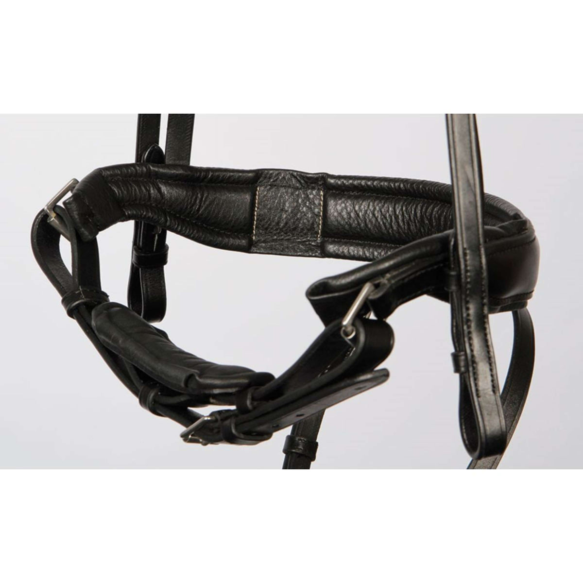 Harry's Horse Bride MM Foramen Free Noir